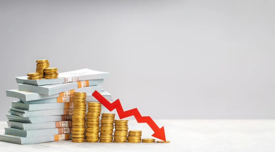 identify early signs of a financial crisis
