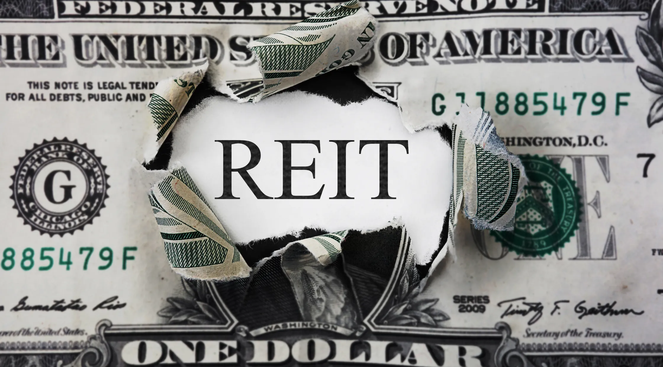 The Rise of REITs: Opportunities and Risks