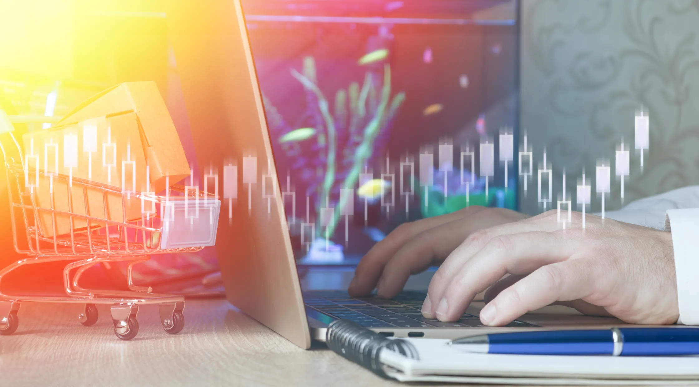 What to Verify Before Trusting an Investment App or Platform